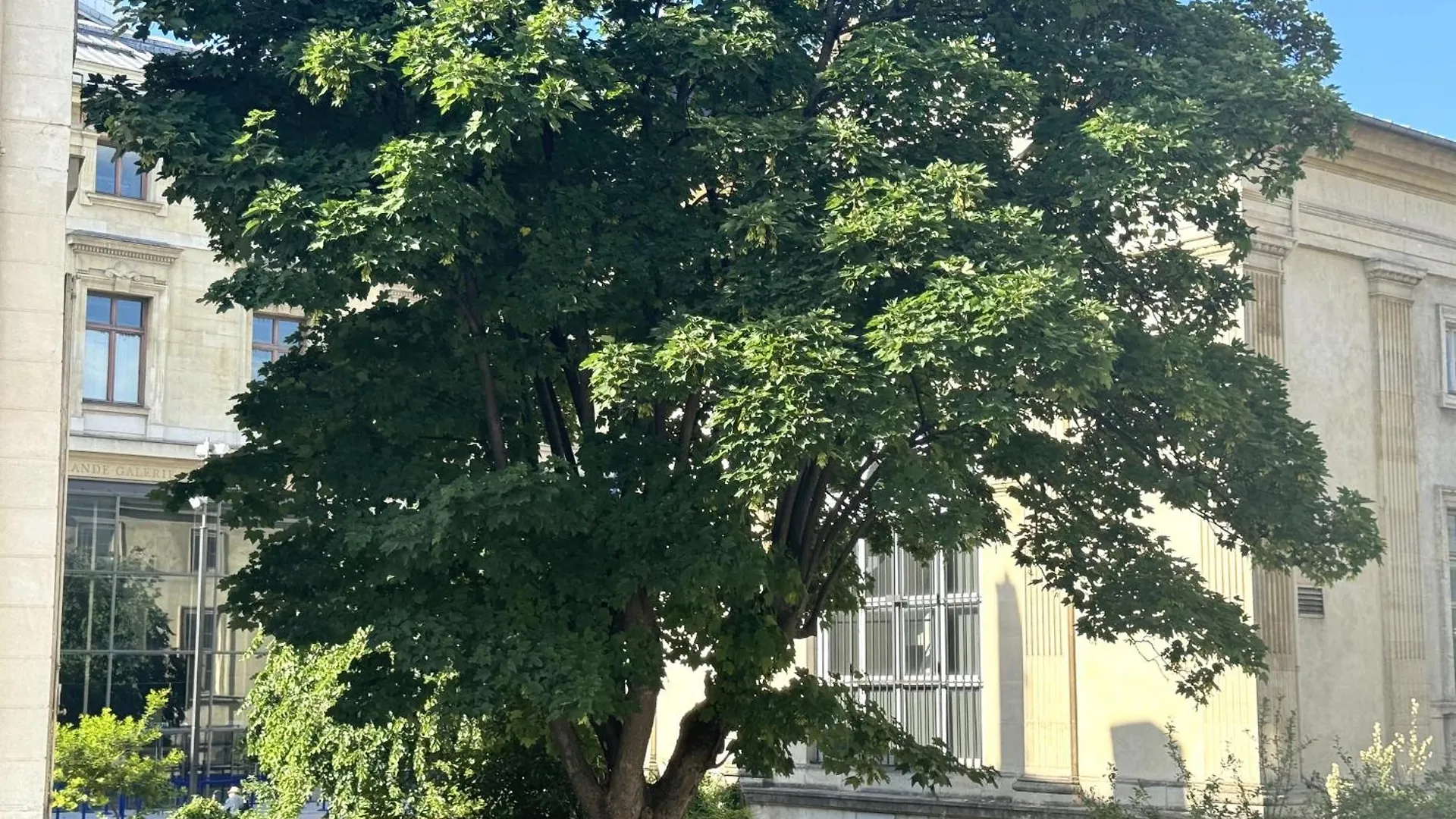 Appartement Joli Studio Jardin Des Plantes Paris France